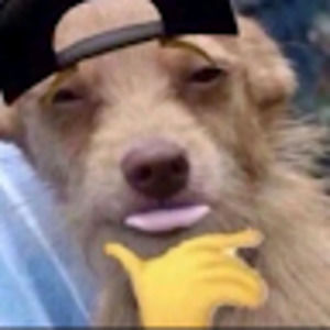 Meet your Posher, Angelina